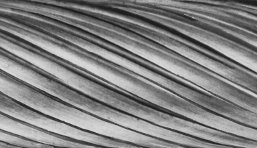 Ecarno-Mill standard spiral flute carbide tool